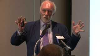 Youth Mental Health Workshop with Professor Pat McGorry screenshot 2
