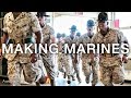Making marines  12 weeks of united states marine corps recruit training