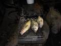 Prespawn crappie fishing is on fire!