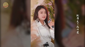 菲儿 ~ 偷走我的心带走我的爱 (菲儿原唱歌曲) (歌詞Lyrics)