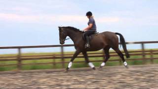 Them Haters Cant Tell Me Nothing