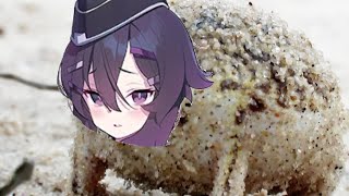 [Blue Archive] Angry Haruka Frog