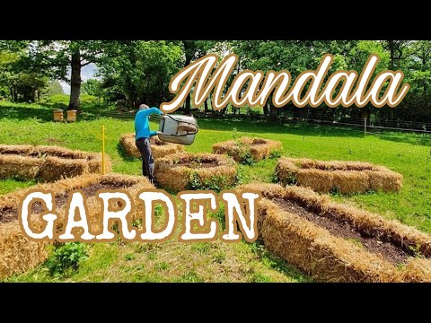 Vidéo: Qu'est-ce qu'un jardin de mandalas ? Conseils pour créer un jardin de mandalas