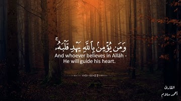 تلاوة هادئة جدا 💚😌 _ دقيقتان ونصف من السكينة_القارىء احمد سلام #quran