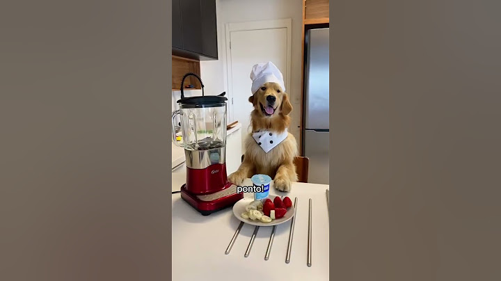Ahhh não, sorvete pra cachorro