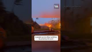 Maui wildfires: 2 people take refuge in pool to escape from flames #lahainafire #lahaina #maui