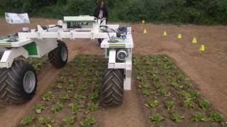 Robot agricole enjambeur Dino : ses premiers tours de roues