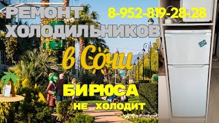 Холодильник Бирюса не морозит