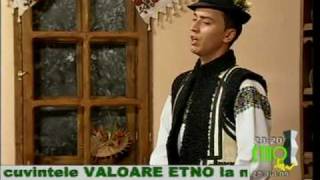 Alexandru Bradatan Casa Etno I Primitoare4