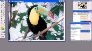 Zamiana koloru / Photoshop tutorial / PL screenshot 5