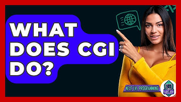 What Does CGI Do? - Next LVL Programming