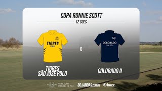 Copa Ronnie Scott 12 gols - Tigres São José Polo x Colorado II