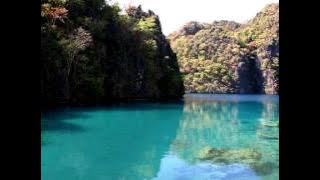 unchained melody  Barry Manilow.mp4