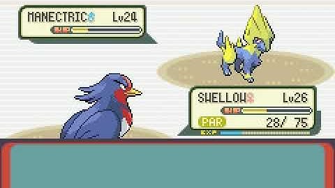 Pokemon Emerald Flying Monotype: Wattson