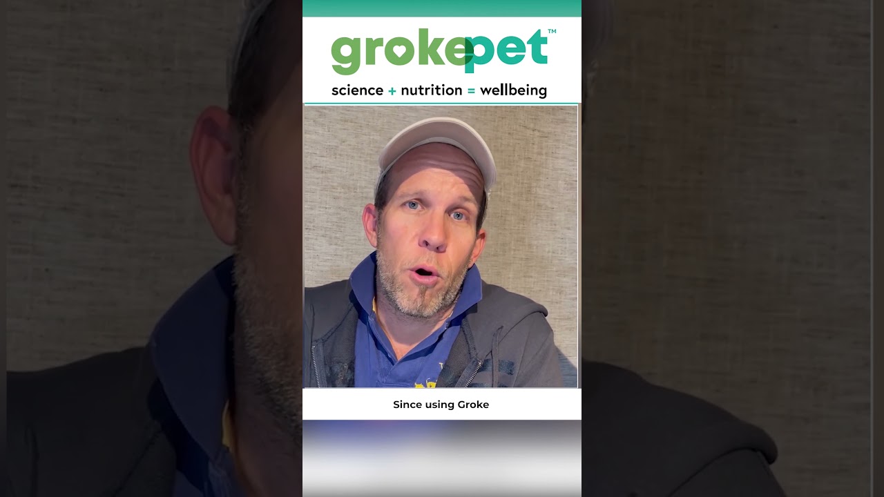 Nutritional Support = Preventive Care 