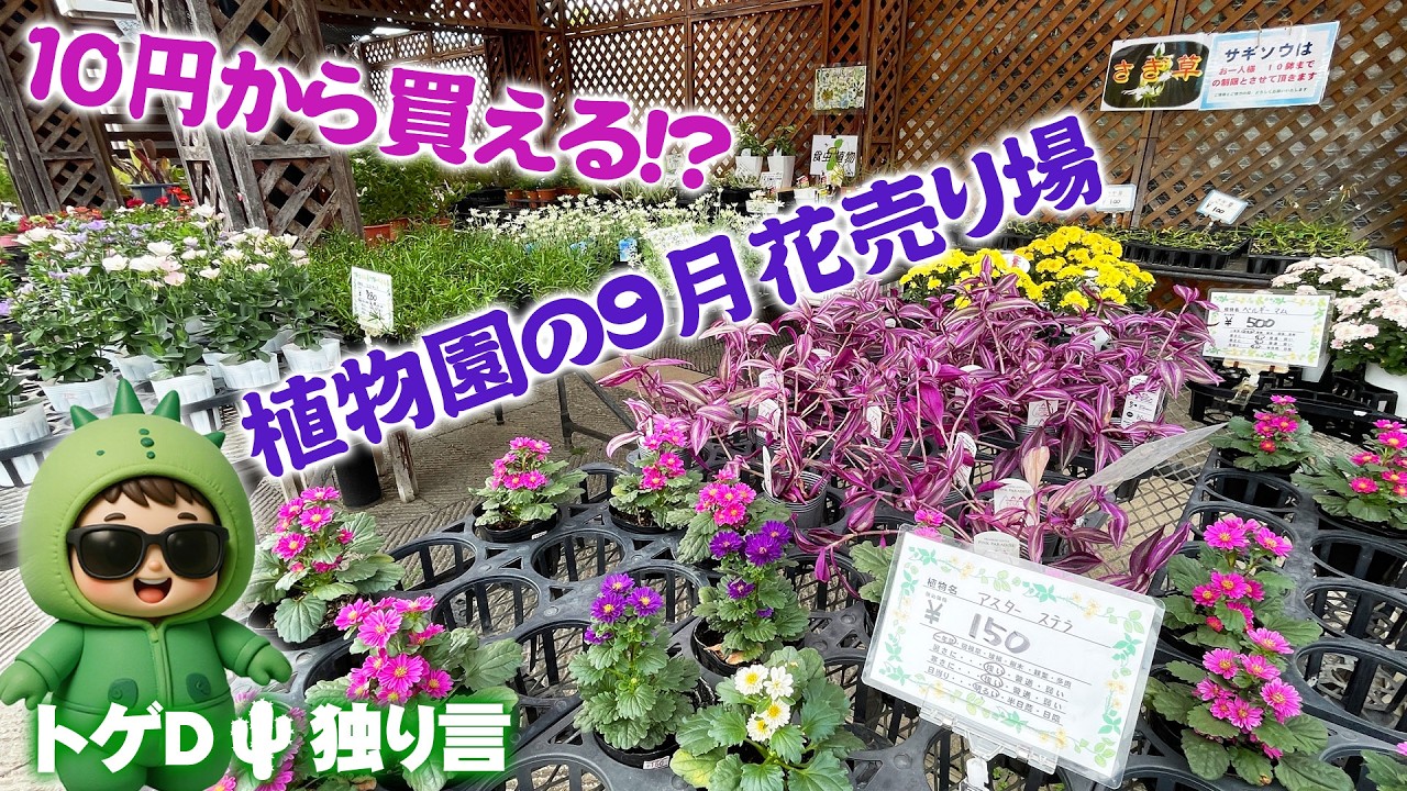 Toge D🌵 Musings] Let's Find Bargains at the Botanical Garden