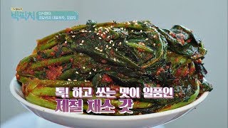 무안 토종 갓으로 만든! 갓 요리의 대표주자, 갓김치♥ TV정보쇼 빅픽처 8회