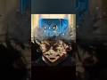 Tetsukachi Crushed Suguru Geto | The Battle Cats × Jujutsu Kaisen #shorts