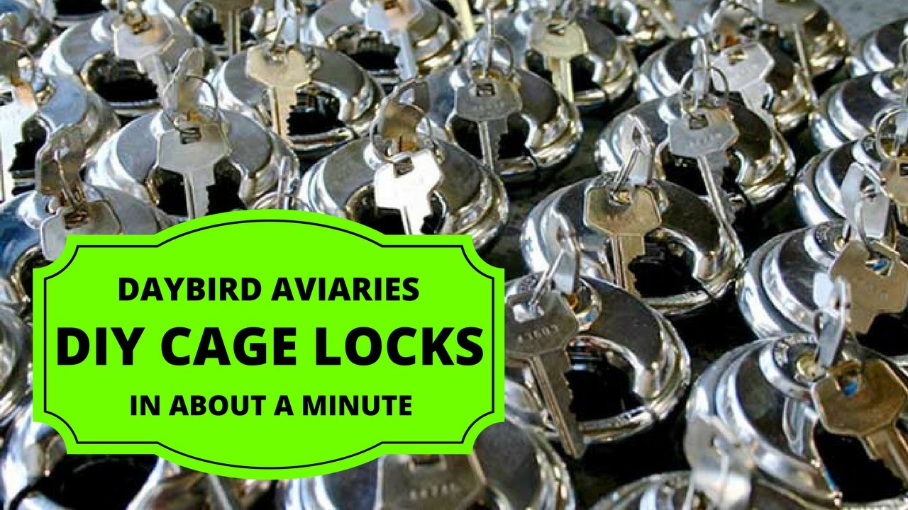 MAKING CAGE LATCHES Cage latches for our suspended aviaries. Conure Cockatiel Lovebird