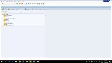 CIS 432 Enterprise Systems - Chapter 7 Inventory and Warehouse Management Process Part 2