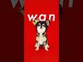 2025.6.18 0:00 wan #wan #ワンワン