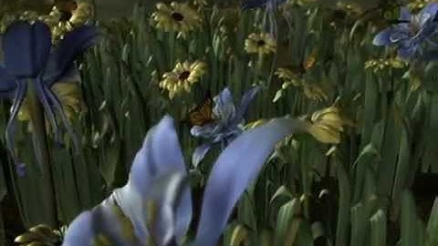 Evolve, an animation (2003)