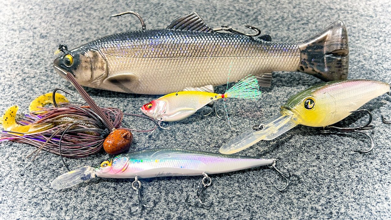 FInesse Swimbait Tricks To Catch More Bass! — Tactical Bassin' - Bass  Fishing Blog