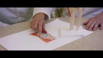 NUTRILITE: Glucosamine Vitamin