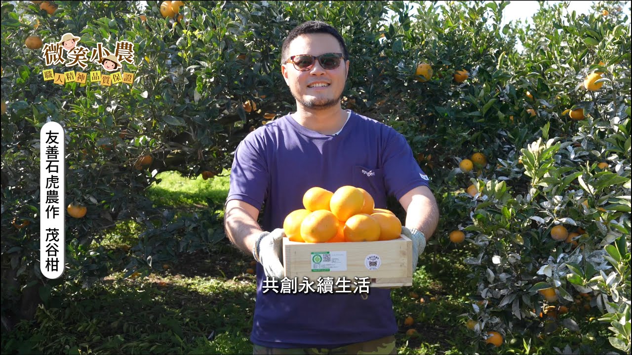 微笑小農 ｜台中東勢 友善石虎農作 茂谷柑｜劉其忠農友 保護石虎不簡單！！