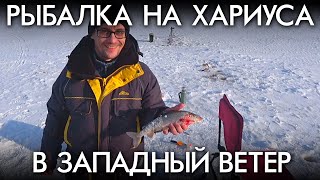 Рыбалка на хариуса в западный ветер