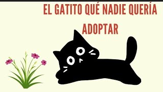 El gatito qué no encontraba familia