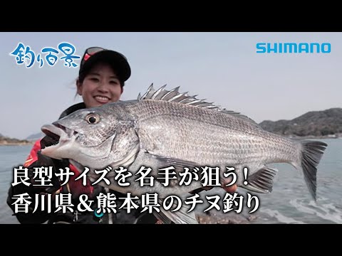 魚　ポスター　漁方 Fishing Scenes] #584 Experts aim for good-sized fish! Black