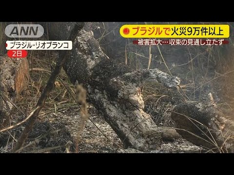 アマゾン収束見えず \u201c大規模火災の原因?\u201dに遭遇(19/09/03)