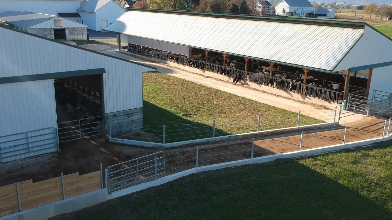 New Heifer Barn Tour 10th Generation Dairyman The Content Farm