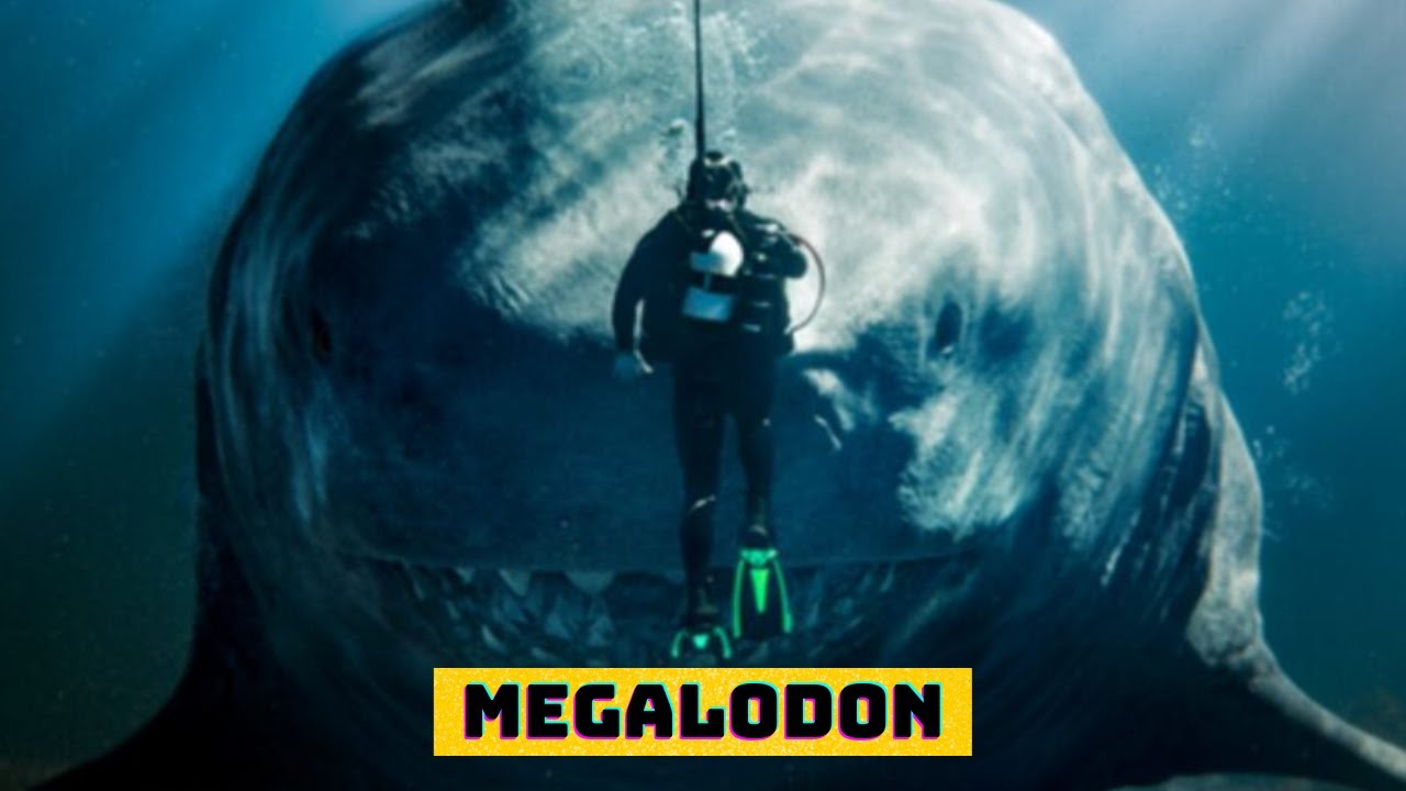 megalodon-o-monstro-dos-mares-youtube
