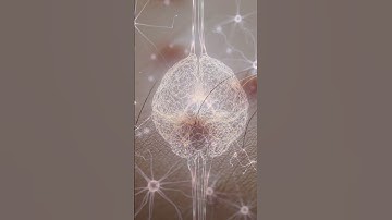 Why Do We Get Random Shivers Out of Nowhere? ❄️ #HumanBody #Mystery #ScienceFacts