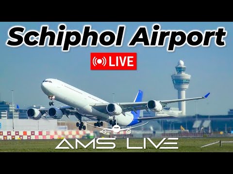 LIVE: Schiphol Morning Departures + C-17s from Ramstein | Runway 24 & 22 | 27 June 2025
