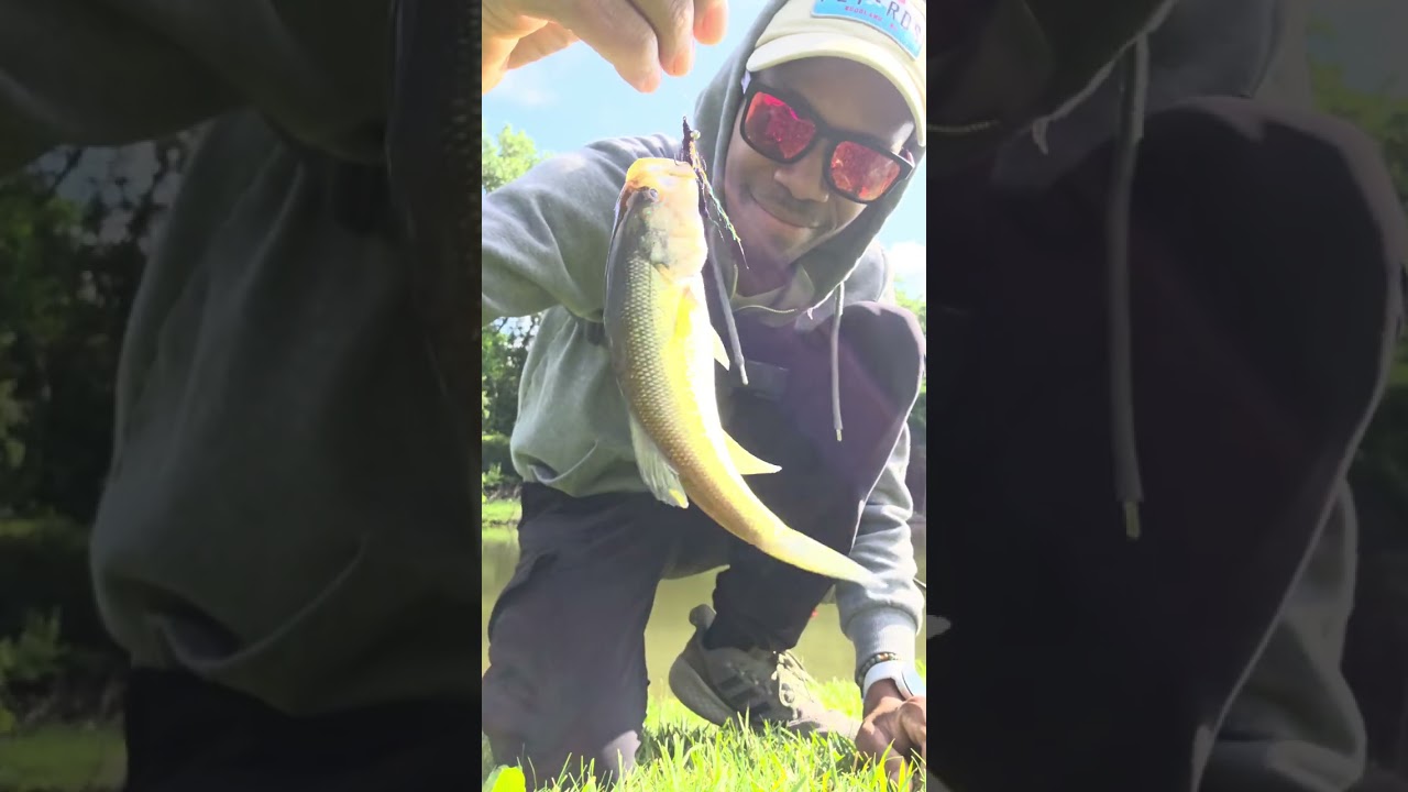 Fly fishing at Firefighters Park