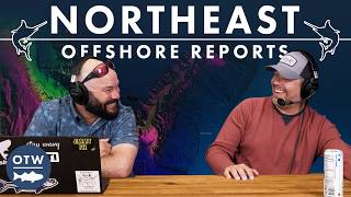 280 MILES of Bluefin Tuna | Northeast Offshore Fishing Report July 29th, 2026