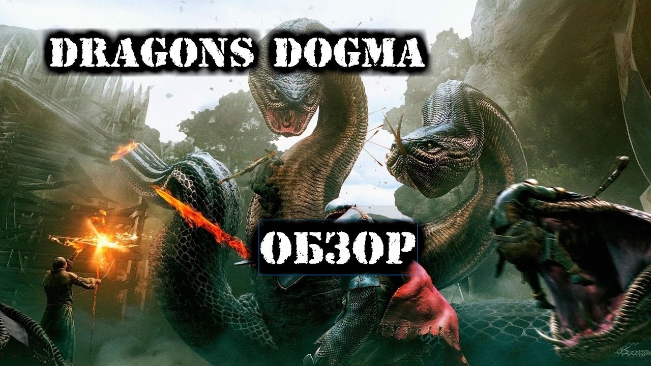 Dragons dogma донат