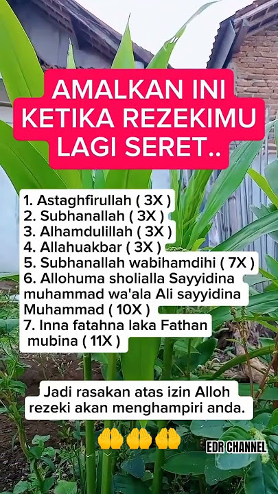 AMALKAN INI JIKA REZEKIMU LAGI SERET 🙏