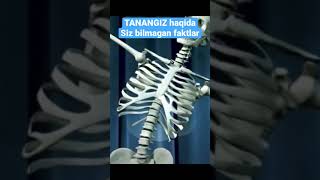 ТАНАНГИЗ ҲАҚИДА СИЗ БИЛМАГАН ФАКТЛАР