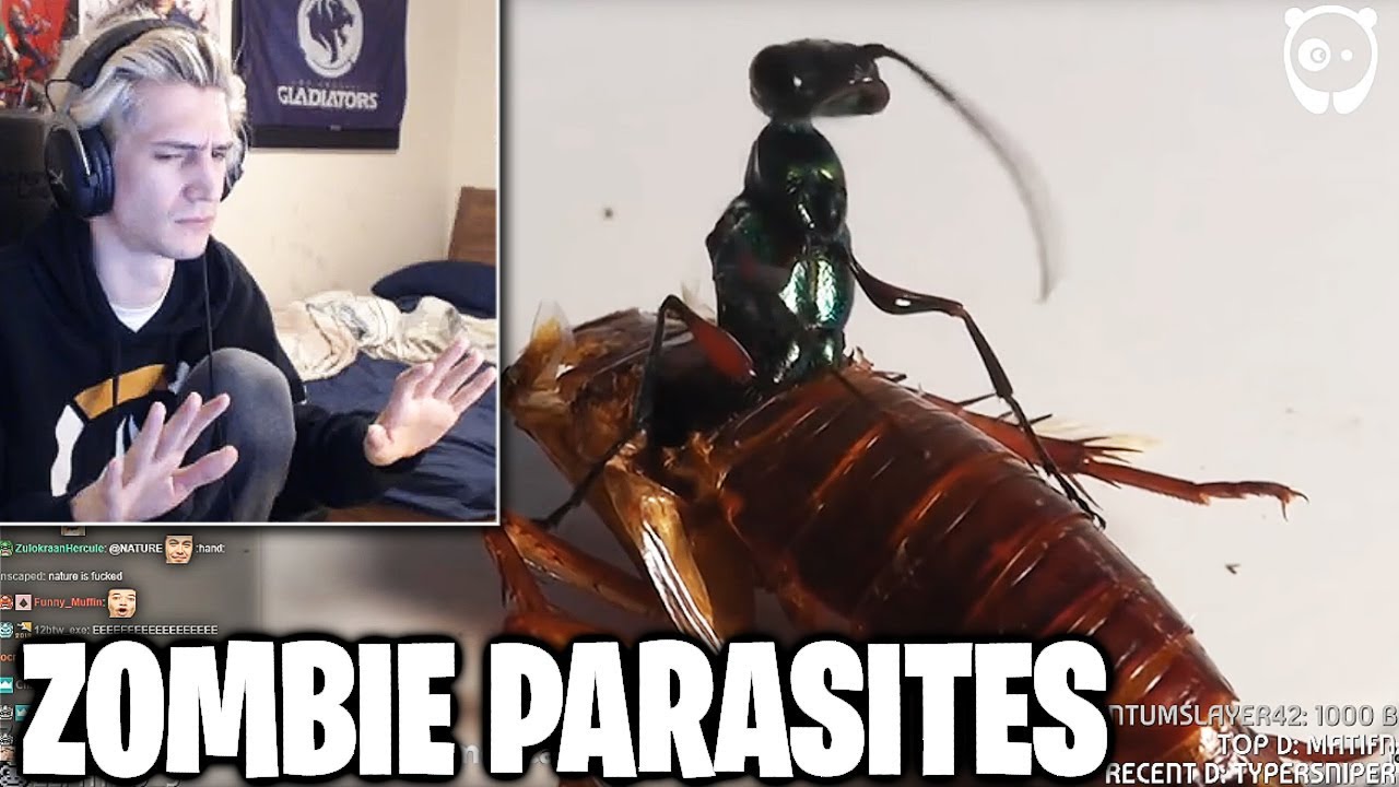 xQc Reacts to 6 Evil Parasites Turn Victims Into ZOMBIES On Camera by Bored Panda