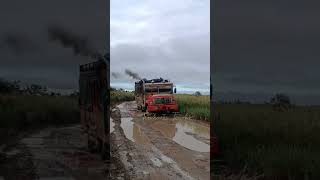 Rumbo a Santa Rita VICHADA #trucks #colombia #vichada #camionescolombianos