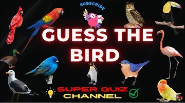 Guess the BIRD | Name the BIRD | BIRD QUIZ