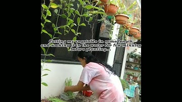 NSTP 2| COMMUNITY IMMERSION