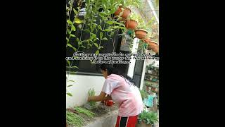 NSTP 2| COMMUNITY IMMERSION