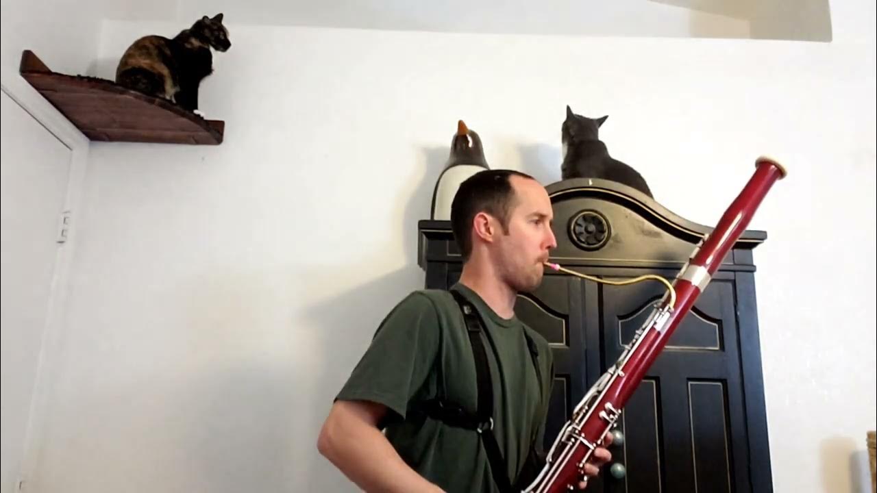 Milde Bassoon Etude No. 39 from Fifty Concert Studies, Op. 26 YouTube