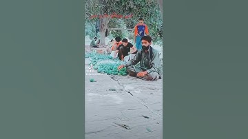 Mango farm Multan if you want any type of mango any where in the world we will deliver it