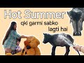 Aaj sabko dho dala and more| Day 38/60 #mydailyvlog #summerspecial #myvlog 